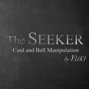 The Seeker by Yuki Iwane